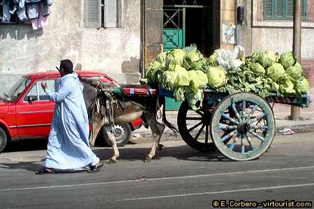 alexandria, street