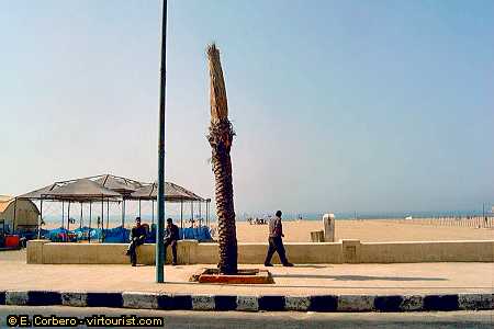 alexandria, ras at tin beach