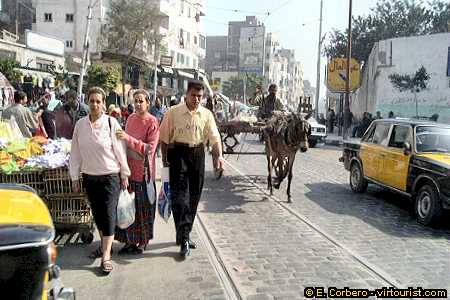 alexandria, anfushi market