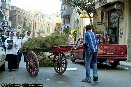 alexandria, people