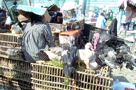 alexandria, midan gomhuiyya market