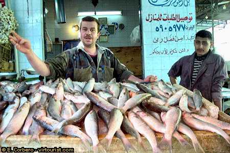 38/41.- Alexandria, Ibrahimiyya market, fish stand