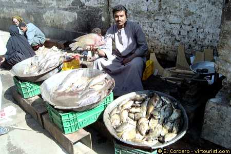 aswan, fish stand