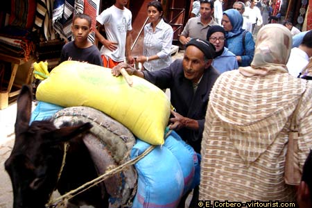 Fez, Medina, donkeys in the streets