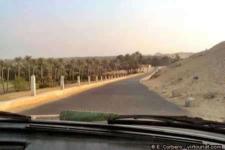 pyramids tour, Saqqara, oasis