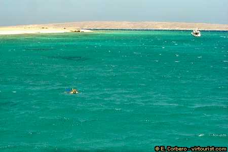41.- red sea, snorkeling