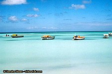 aruba Tourist Guide