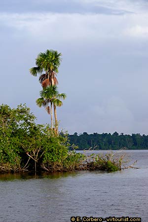 Belem, Amazon River boat tour