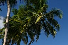 Itacare Tourist Information