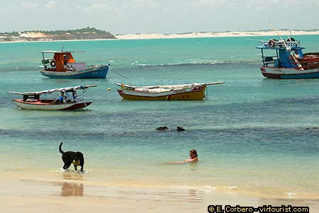 Praia da Pipa, Praia Principal