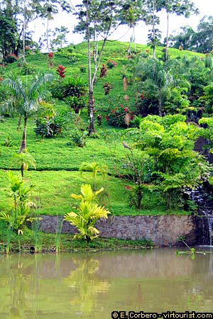 Arenal National Park, mirador