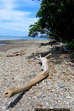 National Park of Marino Ballena