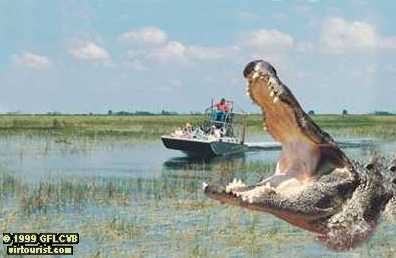 26.- Fort Lauderdale, Airboat
