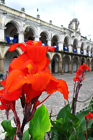 Antigua Guatemala, Palacio de los Capitanes