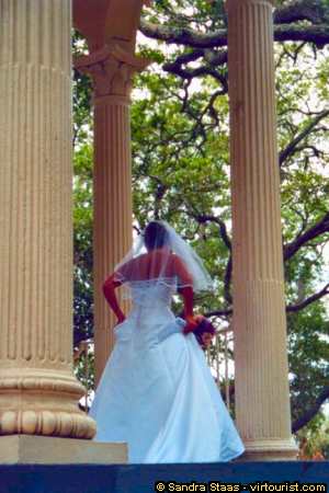 33/50.- Charleston, White Point Gardens, Bride