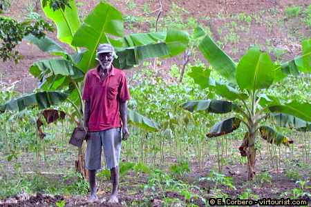 Roaring River, plantain peasant