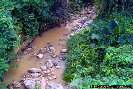 Chukka Cove Farm, river
