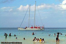 Vancouver Island Tourist Guide