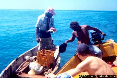 Black River tour, buying fish
