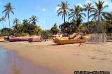 Photos of Treasure Beach