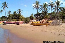 Treasure Beach and Black River Tourist Guide