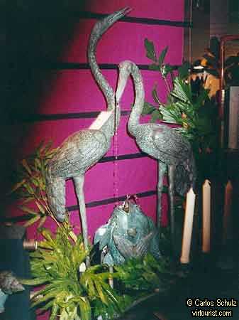 11.-  Key West, Fast Buck Freddy