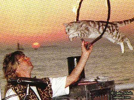 15.- Key West, The Second Sunset with Jumping Cats
