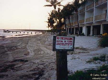 Key West, A beach without seaweed