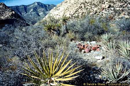 Red Rock Canyon