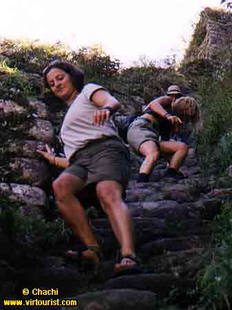 Steps cut by the Incas (down from the Temple)