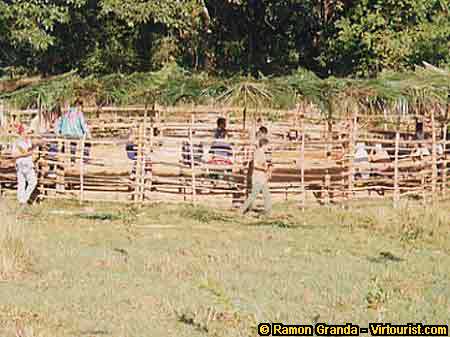 Pinar del Rio, A cockfighting ring.