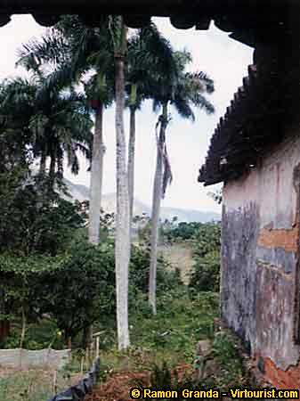 Pinar del Rio II, Loggia and back garden 