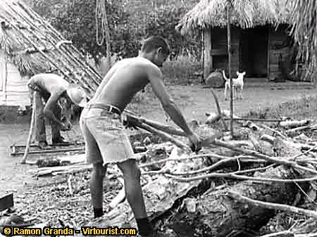 Pinar del Rio II, At work on the farm