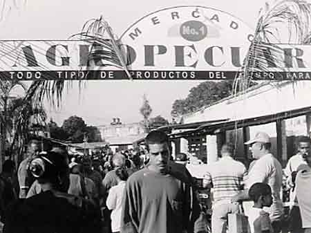 Pinar del Rio II, The Agro-market