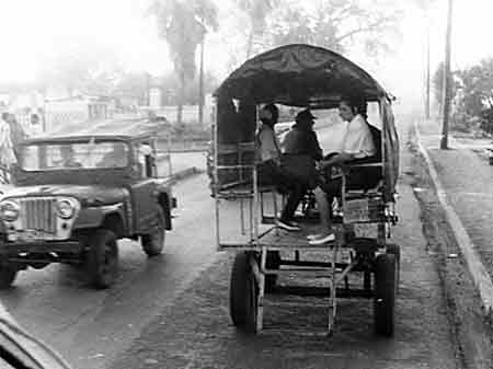 Pinar del Rio II, Horse-drawn transport