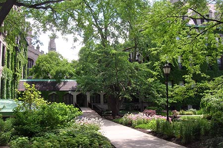 34/44.- Chicago, University of Chicago, Campus Building