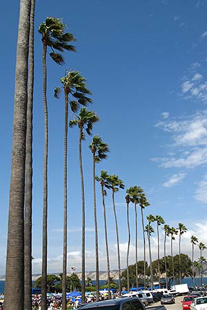 San Diego, La Jolla