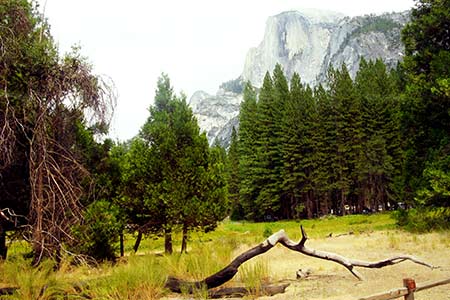 Yosemite National Park, Half Dome