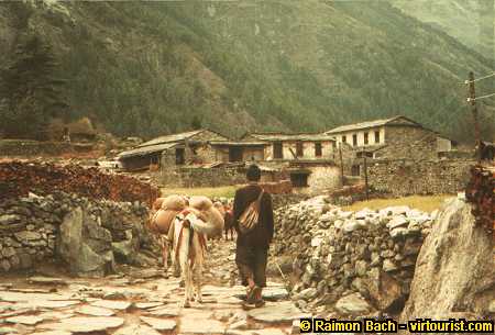37.-  Annapurna Circuit, Marpha