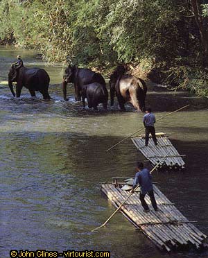 Chiang Mai, Elephants and rafts