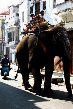 Udaipur, street