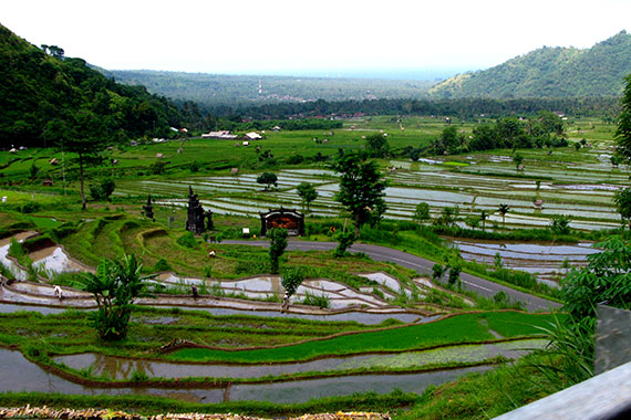 <a href='index.html'>Bali</a>, <a href='../index.html'>Indonesia</a>