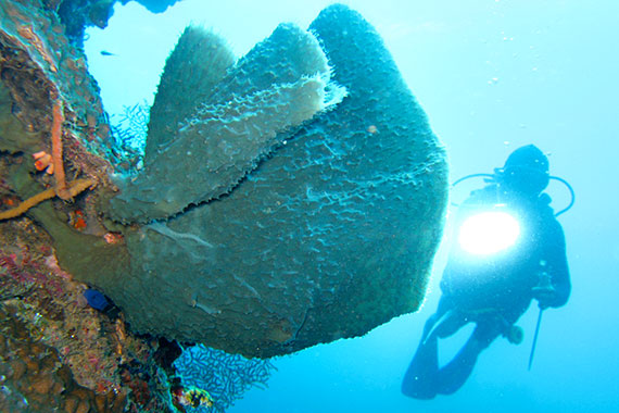 <a href='index.html'>Gorontalo</a>, <a href='../index.html'>Indonesia</a>
