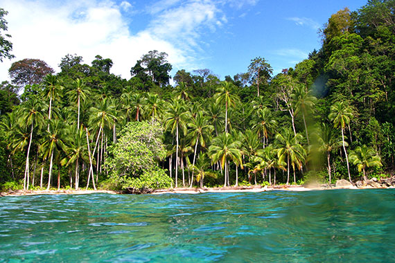 <a href='index.html'>Togian Islands</a>, <a href='../index.html'>Indonesia</a>