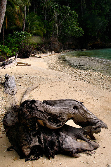 <a href='index.html'>Togian Islands</a>, <a href='../index.html'>Indonesia</a>
