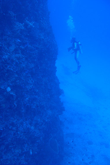 <a href='index.html'>Togian Islands</a>, <a href='../index.html'>Indonesia</a>