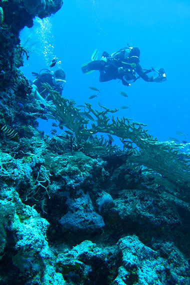 <a href='index.html'>Togian Islands</a>, <a href='../index.html'>Indonesia</a>
