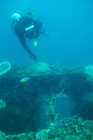 <a href='index.html'>Coron</a>, <a href='../index.html'>Philippines</a>