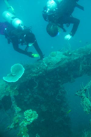 <a href='index.html'>Coron</a>, <a href='../index.html'>Philippines</a>