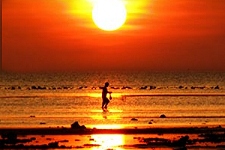 Ko Samui Photographic Tour
